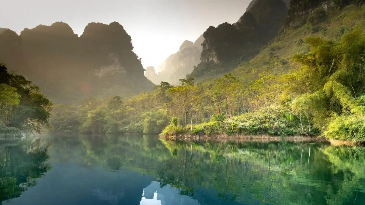 高效环保